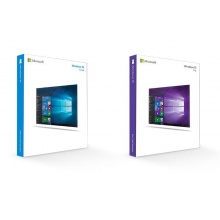 Windows 10专业版